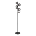 Globo - LED-Stehleuchte 6xG9/3,5W/230V rauchig/schwarz
