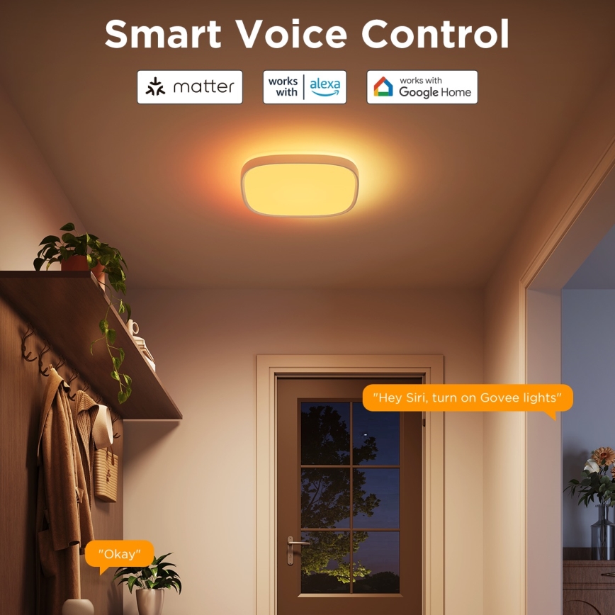 Govee - LED RGBIC Dimmbare Deckenleuchte LED/24W/230V 2700-6500K Wi-Fi