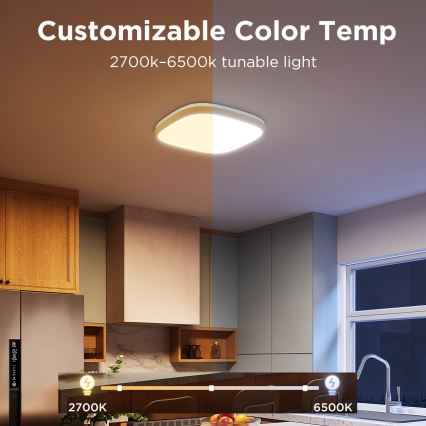 Govee - LED RGBIC Dimmbare Deckenleuchte LED/24W/230V 2700-6500K Wi-Fi
