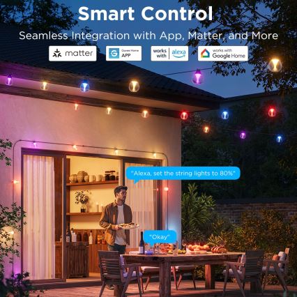 Govee - LED RGBICW Dimmbare Outdoor-Deko-Lichterkette LED/24W/230V IP67 2700-6500K Wi-Fi