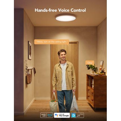 Govee - LED RGBICWW dimmbare Deckenleuchte LED/29W/230V Ø 30 cm matt Wi-Fi