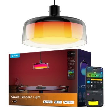 Govee - LED RGBICWW dimmbare Pendelleuchte mit Seilaufhängung LED/21W/230V Matter Wi-Fi