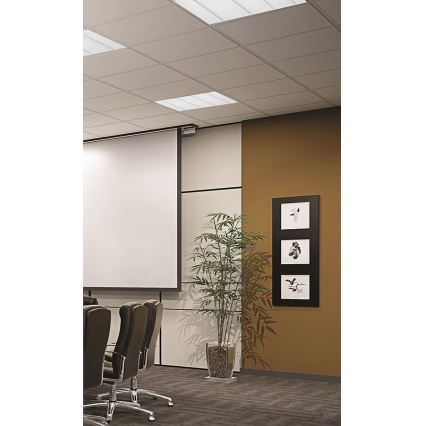Greenlux GXPR021 - LED Deckenleuchte VIRGO PROFI LED/36W/230V