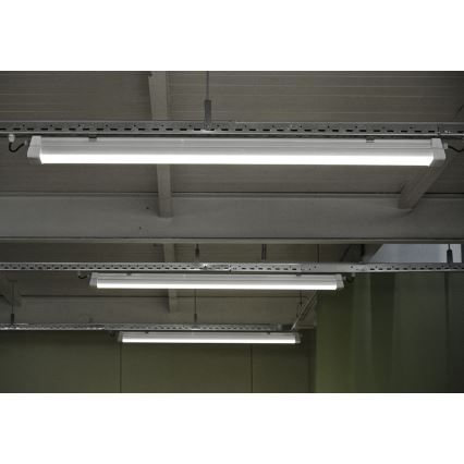 Greenlux GXWP381 - LED-Technische Leuchte DUST PROFI MILK LED/53W/230V 4000K IP66