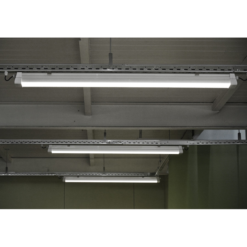 Greenlux GXWP381 - LED-Technische Leuchte DUST PROFI MILK LED/53W/230V 4000K IP66