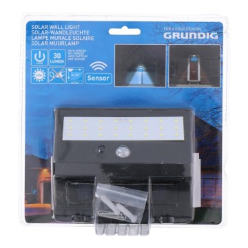 Grundig - LED-Solarleuchte mit Bewegungs- und Dämmerungssensor LED/0,25W/1xAA 300 mAh