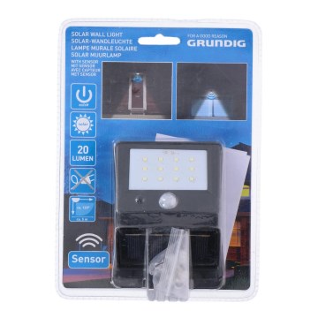 Grundig - LED-Solarleuchte mit Bewegungs- und Dämmerungssensor LED/0,25W/1xAA 600 mAh