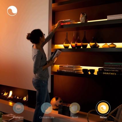 Basisset - Philips Hue WHITE AND COLOR AMBIANCE dimmbares LED RGBW Band 2m LED/20W/230V