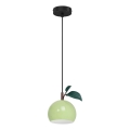 Hängeleuchte APPLE 1xE27/15W/230V grün