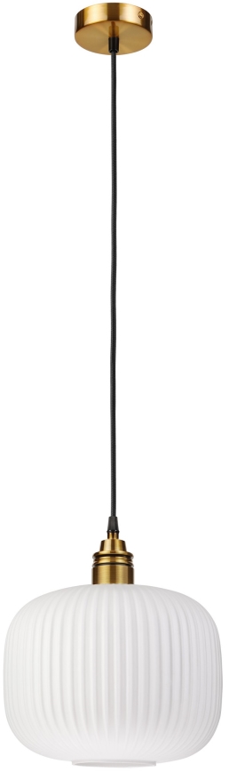 Hängeleuchte HECTOR mit Kabelaufhängung, 1x E27/15W/230V, Ø 25 cm