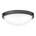 Hinkley - Deckenleuchte COLLIER 2xE27/40W/230V Ø 34,6 cm schwarz