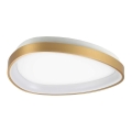 Ideal Lux - LED-Deckenleuchte GEMINI LED/23W/230V d 42,5 cm CRI 90 golden