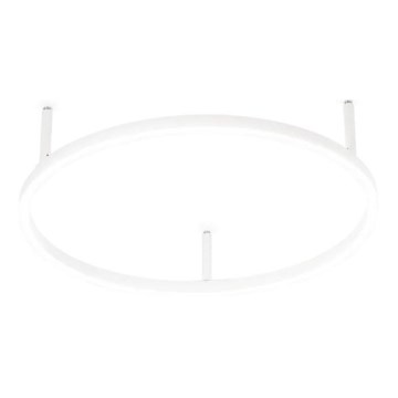 Ideal Lux - LED-Deckenleuchte ORACLE SLIM LED/29W/230V 4000K CRI 90 Durchmesser 50 cm weiß