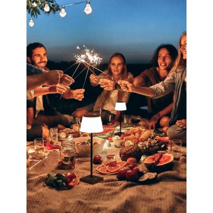 Dimmbare LED-Outdoor-Solarleuchte mit Sensor LED/4W/5V IP44 3600 mAh