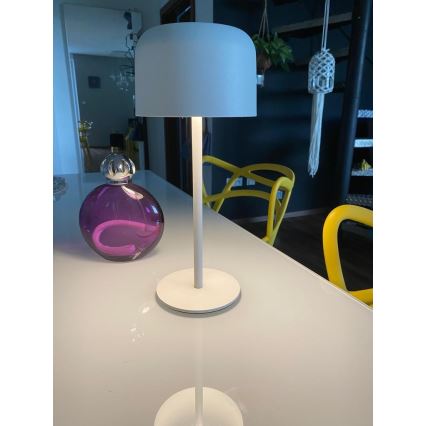 LED Dimmbares Außen-Solarlicht LED/4W/5V 3600mAh IP44