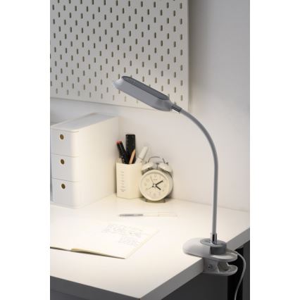LED+CCT dimmbare Tischlampe mit Clip CLIP LED/7,5W/230V 3000/4200/5000K weiß