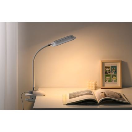 LED+CCT dimmbare Tischlampe mit Clip CLIP LED/7,5W/230V 3000/4200/5000K weiß