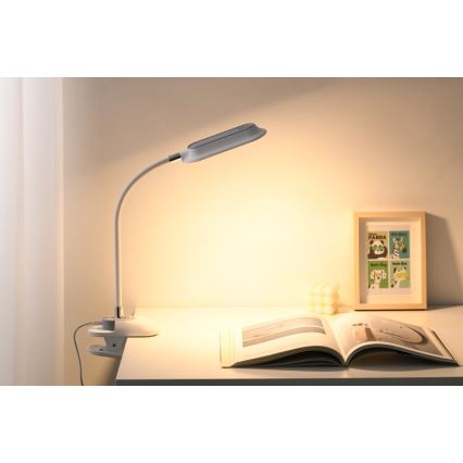LED+CCT dimmbare Tischlampe mit Clip CLIP LED/7,5W/230V 3000/4200/5000K weiß