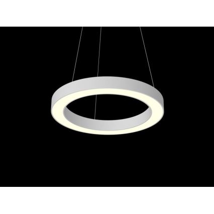 Immax NEO 07091L - LED dimmbarer Seil-Pendelleuchte PASTEL LED/52W/230V 60 cm weiß Tuya + Fernbedienung