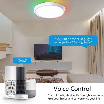 Immax NEO 07164-40 - LED RGB+CCT dimmbare Deckenleuchte NEO LITE TUDO LED/50W/230V Wi-Fi Tuya + Fernbedienung