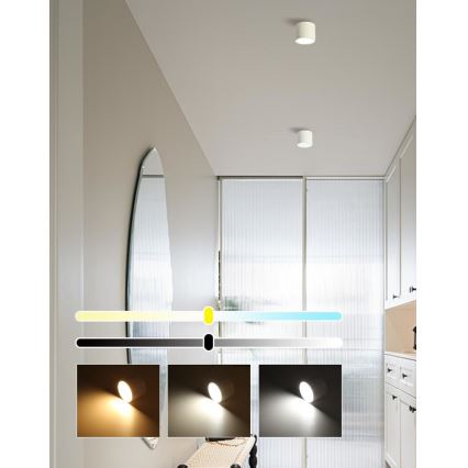Immax NEO 07241L - LED dimmbares Deckenleuchte RONDATE LED/18W/230V 11,5cm Wi-Fi Tuya