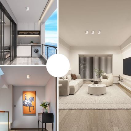 Immax NEO 07243L - LED dimmbares Deckenleuchte RONDATE LED/32W/230V 16,5 cm Wi-Fi Tuya