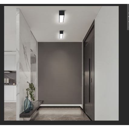Immax NEO 07254L - LED dimmbares Deckenleuchte NEO LITE LUNGO LED/20W/230V 3000-6000K Wi-Fi Tuya schwarz + Fernbedienung