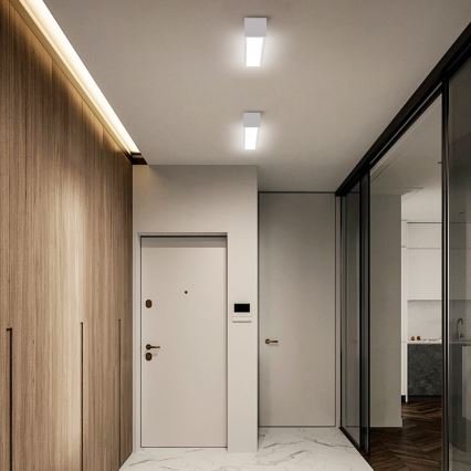 Immax NEO 07257L - LED dimmbares Deckenleuchte NEO LITE LUNGO LED/20W/230V 3000-6000K Wi-Fi Tuya weiß + Fernbedienung