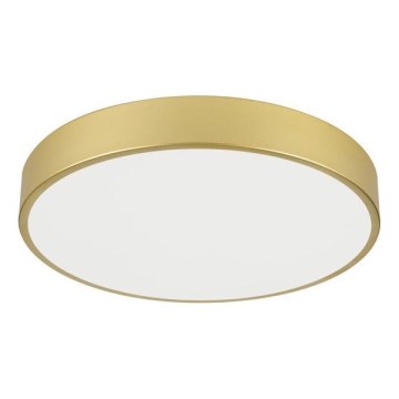 Immax NEO 07292L - LED+CCT dimmbare Deckenleuchte SEMPLICI LED/36W/230V 2700-6500K Ø 40 cm + Fernbedienung