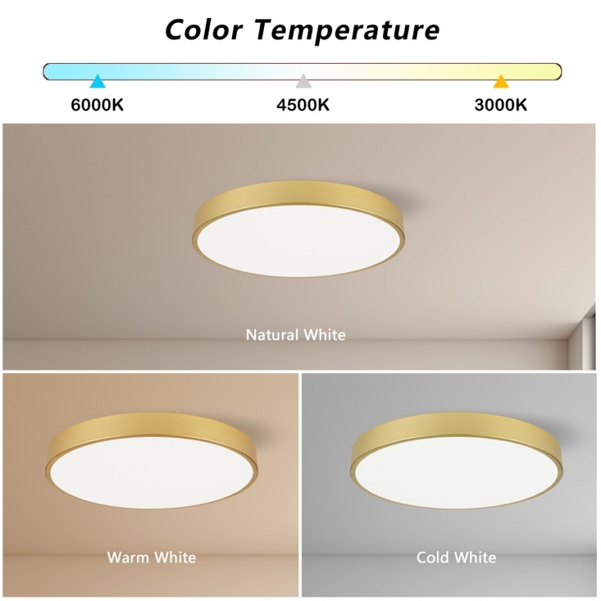 Immax NEO 07293L - LED+CCT dimmbare Deckenleuchte SEMPLICI LED/60W/230V 2700-6500K Ø 60 cm + Fernbedienung