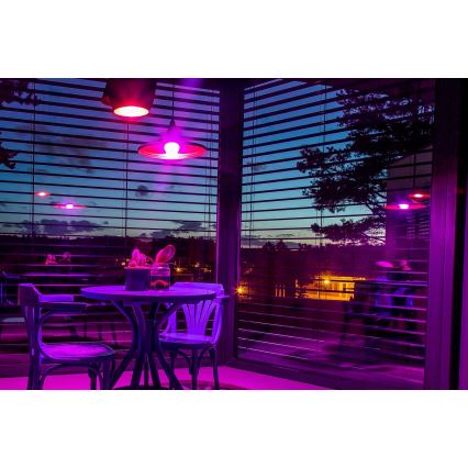 Immax NEO 07712L - LED RGB+CCT Dimmbare Glühbirne NEO LITE Smart E27/9W/230V Wi-Fi Tuya 2200 - 6500K