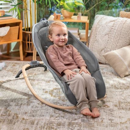 Ingenuity - Kinderwippe mit Vibration und Melodie EVERY SEASON WESLEY 3xC grau