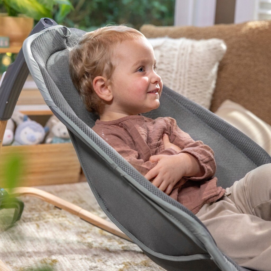 Ingenuity - Kinderwippe mit Vibration und Melodie EVERY SEASON WESLEY 3xC grau