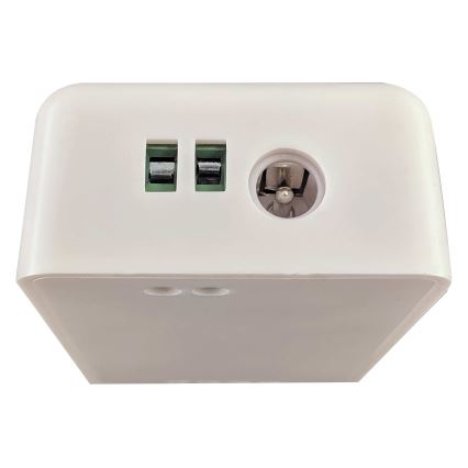 Intelligente Fernbedienung für einfarbige LED-Streifen 5-24V Wi-Fi Tuya