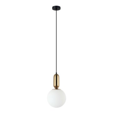 ITALUX - Hängeleuchte auf Kabel ALDEVA 1xE27/40W/230V Ø 20 cm schwarz/bronze