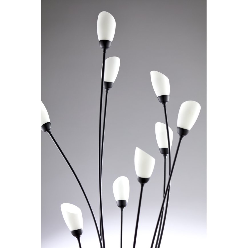 Jupiter 2058 - Stehleuchte GLORIOSA 9xG9/14W/230V schwarz