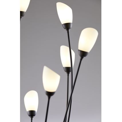 Jupiter 2058 - Stehleuchte GLORIOSA 9xG9/14W/230V schwarz