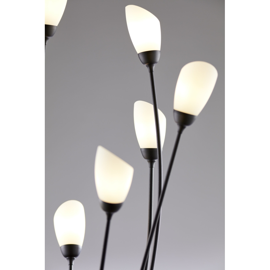 Jupiter 2058 - Stehleuchte GLORIOSA 9xG9/14W/230V schwarz