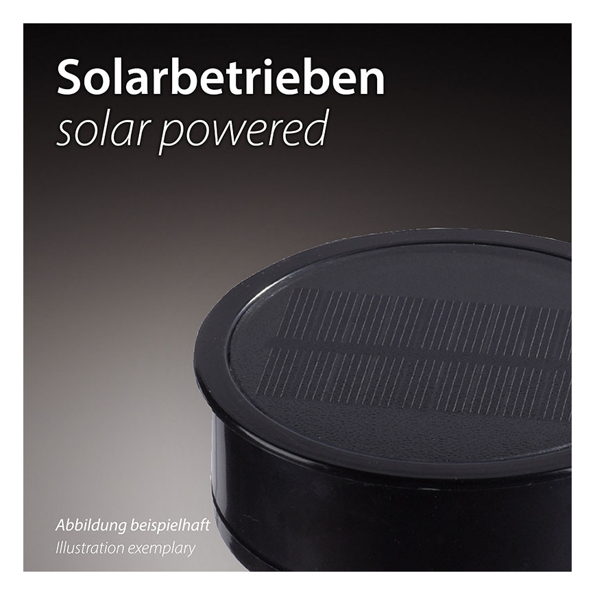 JUST LIGHT. 19106-18-3 - SET 3x LED Solarleuchte FACKEL LED/0,24W/1,2V 200 mAh IP44 schwarz