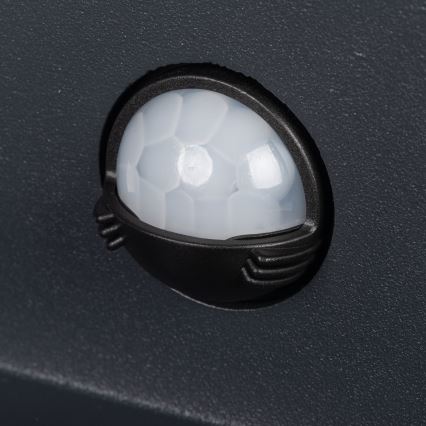 REKA LED-Außenwandleuchte mit Bewegungs- und Dämmerungssensor, LED/7W/230V, IP54, anthrazit, rund