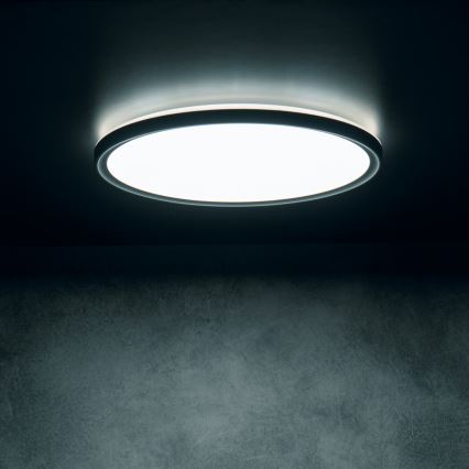 LED-Deckenleuchte AZPO LED/22W/230V 3000/4000/6000K Ø 42 cm IP54 schwarz