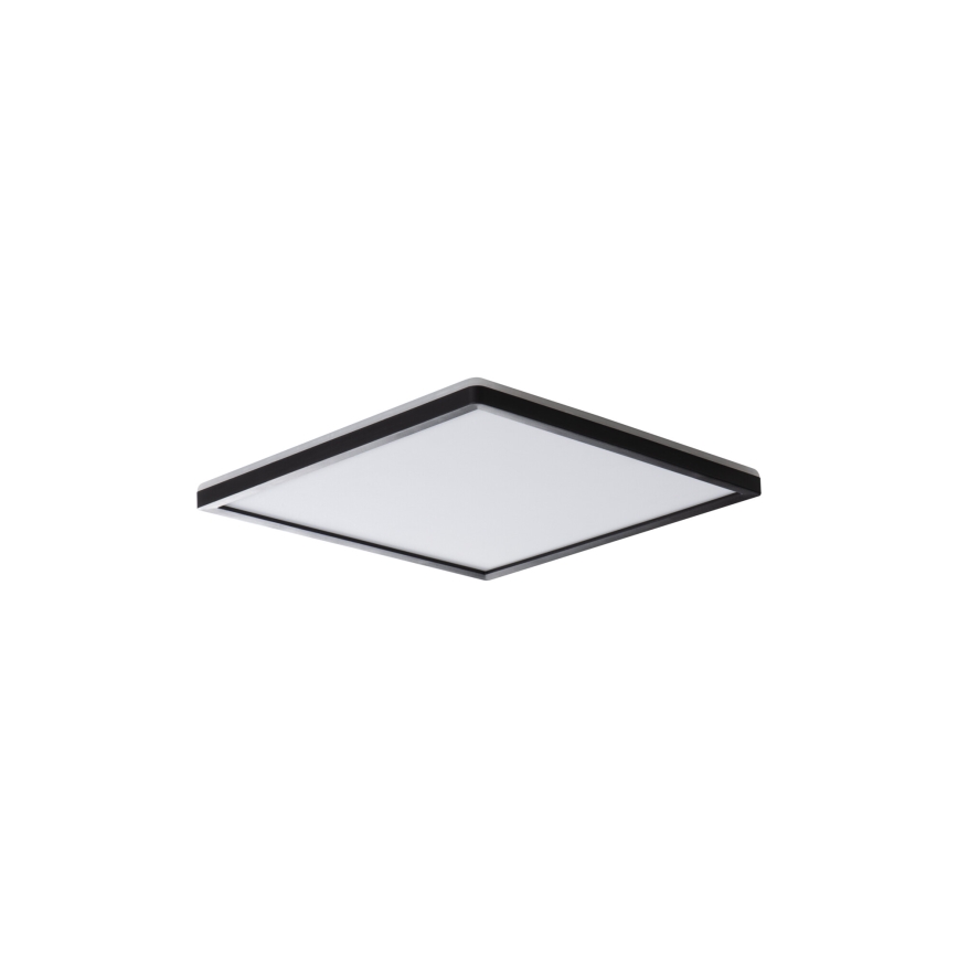 LED Deckenleuchte AZPO LED/12,3W/230V 3000/4000/6000K 22,5x22,5 cm IP54 schwarz