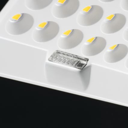 LED dimmbarer Fluter mit Solarpanel und Dämmerungssensor LED/10W/10000 mAh 3,2V IP65 + Fernbedienung