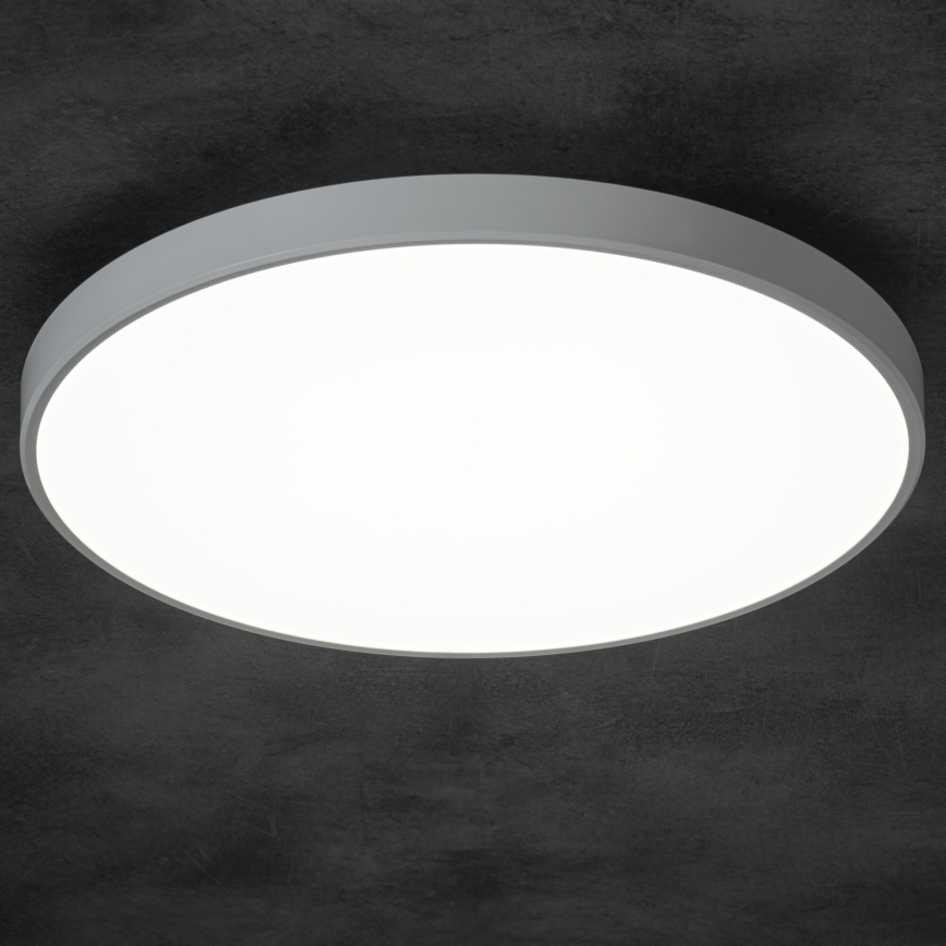 Dimmbare LED-Deckenleuchte PLAFON LED/20W/230V 3000-6500K Wi-Fi weiß