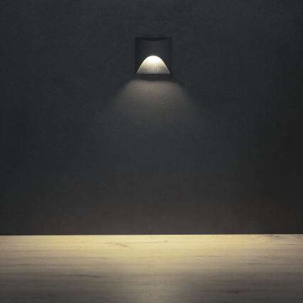 LED Treppenleuchte EXIN LED/2,5W/230V 4000K IP65 anthrazit eckig