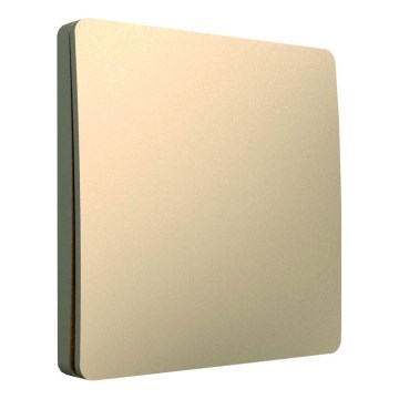 Kinetischer Funkschalter 1P IP67 Gold