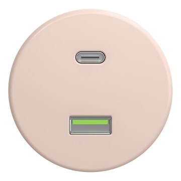 Kliklap - Retro-USB-Steckdose A+C rahmenlos, altrosa