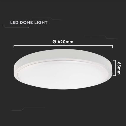 LED Außen-Deckenleuchte mit Sensor LED/30W/230V 4000K IP44 Weiß