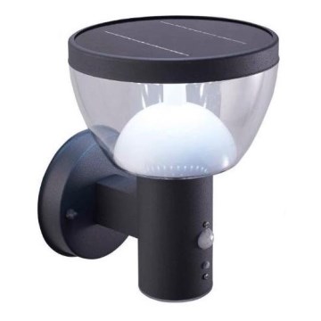 LED Außen-Solar-Wandleuchte mit Sensor LARIX LED/3W/3,7V 2200 mAh IP44