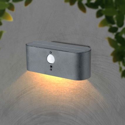 LED Außen-Solar-Wandleuchte mit Sensor LED/2,5W/3,7V 3000K IP54 2000 mAh